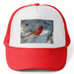 021910-179-AH HAT