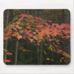 023 MOUSE MATS