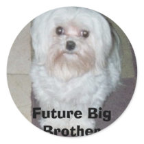 026_00A, Future Big Brother stickers