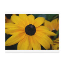 027 POSTCARD