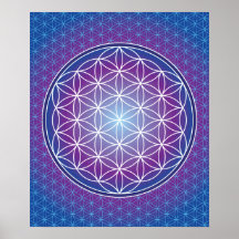 02 TRANSCENDENCE - Flower of Life Print