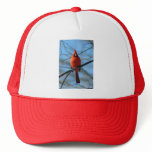 030110-9-AH MESH HATS