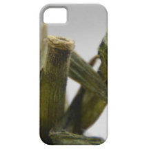 03102012_0109 Kopie.jpg iPhone 5 Case