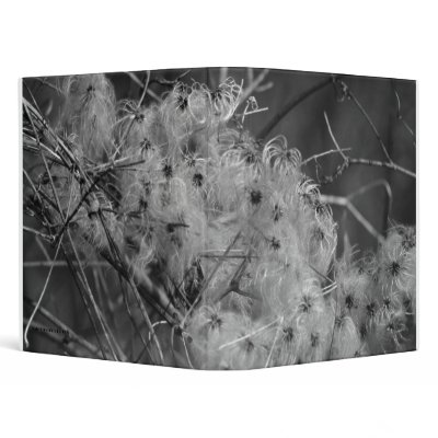031711-64-AB VINYL BINDER by MicksPixPhotos