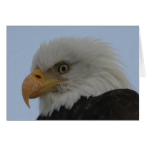 03 19_AK_6766 CARDS