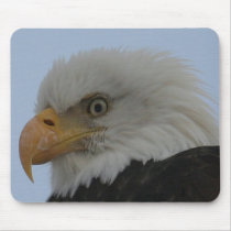 03 19_AK_6766 MOUSEPADS