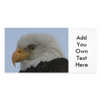 03 19_AK_6766 PHOTO CARD TEMPLATE