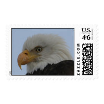 03 19_AK_6766 POSTAGE STAMP