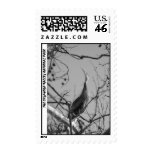 040510-9-APS POSTAGE STAMP