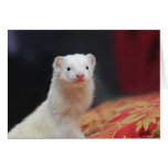 040 GREETING CARDS