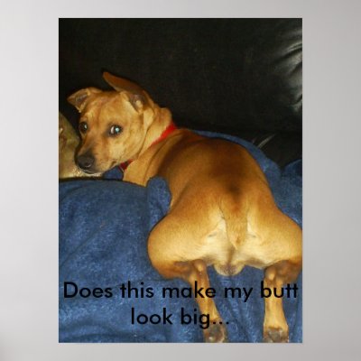 042, Does this make my butt look big... Poster by talonye