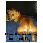 042, Does this make my butt look big... T-shirts