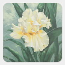 0434 Cream Iris Square Stickers