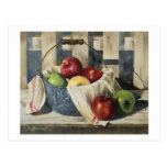 0449 Apples in Enamelware Pail Postcard
