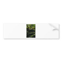 047 copy.jpg bumper sticker