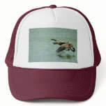 050509-42-AH MESH HATS