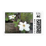 0521001332white dogwood, Yosemite Dogwood Postage Stamp