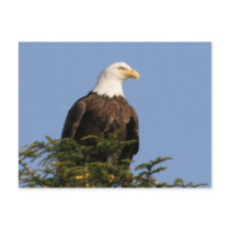 05 08_AK_6760 POSTCARD