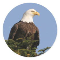 05 08_AK_6760 ROUND STICKER