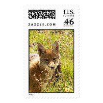 05-10-11-23-54Post9 postage