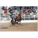 05 valentine hs rodeo  cr 06 photo sculptures