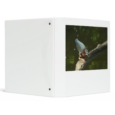 061311-362-B BINDER by MicksPixPhotos