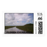065_65, FLORIDA EVERGLADES