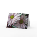 067pink daisy greeting card