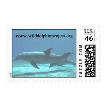 06 95 Dopplercalf website postage