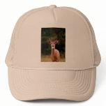 070306-34-AH HATS