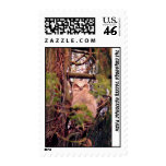 070406-31-APS STAMP
