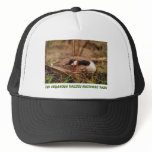 070406-38H TRUCKER HAT