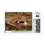 070406-38PS POSTAGE STAMPS