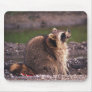 070406-67MP MOUSEPADS