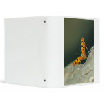 071609-211-AB 3 RING BINDERS