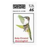07-20-06 Hummingbirds0033ac, Ruby-Throated Humm... Stamps