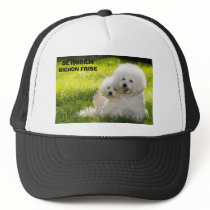 07, DE ISHBILIA BICHON FRISE hats by taralute 07, DE ISHBILIA BICHON FRISE hats