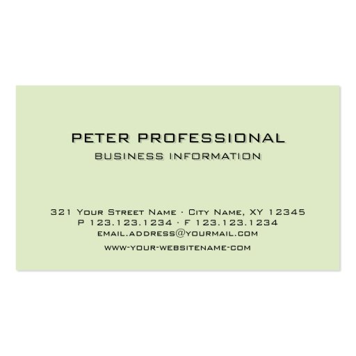 07 Modern Professional Business Card light green (front side)