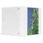 080706-7-AB VINYL BINDER