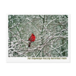 080806-25-APC POSTCARDS