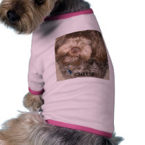 081809 053, CHEESE pet clothing