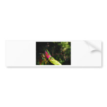 085 copy.jpg bumper sticker
