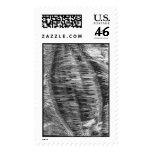 089.mascot stamps