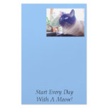 089, Start Every Day With A Meow!, Start Every ... stationery