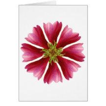 09052010_366_a1.jpg greeting cards
