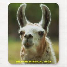 092810-35-AMP   THE NAME IS PACA...AL PACA MOUSEPADS