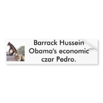 09-06b, Barrack Hussein Obama's economic czar P... bumper stickers by NIFONGNATION 09-06b, Barrack Hussein Obama's economic czar P... bumper stickers