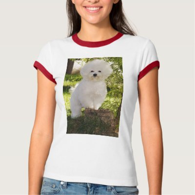 09, DE ISHBILIA BICHON FRISE T SHIRT by taralute