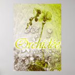 0rchidee print