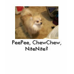 100_0003, PeePee, ChewChew, NiteNite? T-shirt